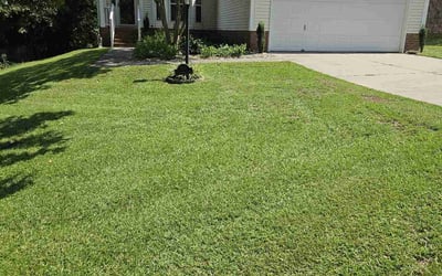 Photo of Greg B.'s yard after getting lawn care in Columbia, SC