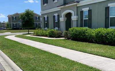 Photo of Stephanie M.'s yard after getting lawn care in Niceville, FL