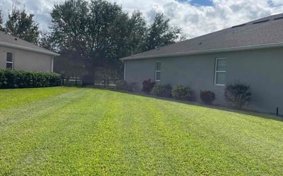 Photo of Nicholas H.'s yard after getting lawn care in Holly Hill, FL