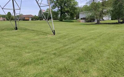 Photo of Lindsay G.'s yard after getting lawn care in Austin, TX