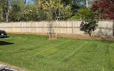 Photo of SYdney K.'s yard after getting lawn care in McLean, VA