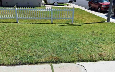 Photo of Valerie M.'s yard after getting lawn care in Simi Valley, CA