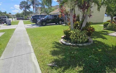 Photo of Trenique W.'s yard after getting lawn care in Shreveport, LA