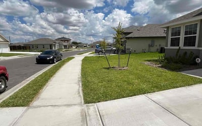 Photo of Marsha C.'s yard after getting lawn care in Grand Haven, MI
