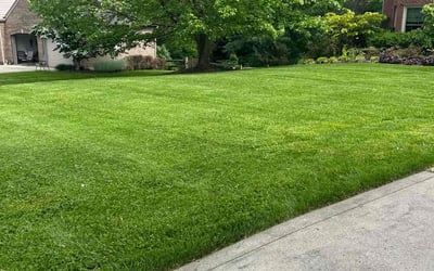 Photo of Evan O.'s yard after getting lawn care in Trenton, OH