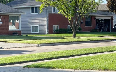 Photo of Jamie H.'s yard after getting lawn care in Livonia, MI