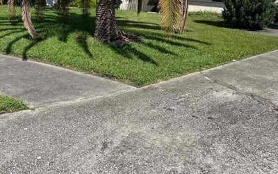 Photo of Jeremy S.'s yard after getting lawn care in Springfield, MO