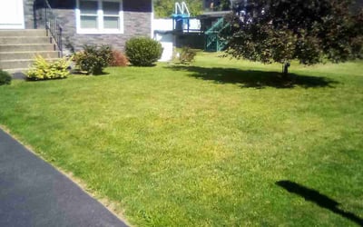Photo of Teri B.'s yard after getting lawn care in Latham, NY