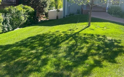 Photo of Carol D.'s yard after getting lawn care in Idaho Falls, ID