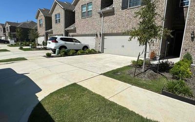 Photo of Vincent B.'s yard after getting lawn care in Pinellas Park, FL