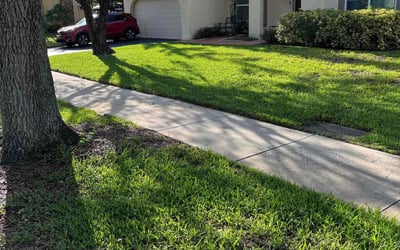 Photo of Kathy V.'s yard after getting lawn care in Cooper City, FL