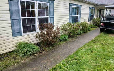 Photo of Kelly B.'s yard after getting lawn care in Gloucester City, NJ
