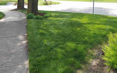 Photo of Brandi K.'s yard after getting lawn care in Dolton, IL