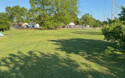 Photo of Toni S.'s yard after getting lawn care in Darlington, SC