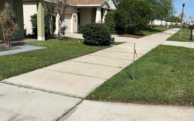 Photo of Charlene L.'s yard after getting lawn care in Daly City, CA