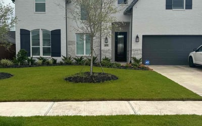 Photo of Allison R.'s yard after getting lawn care in Manvel, TX