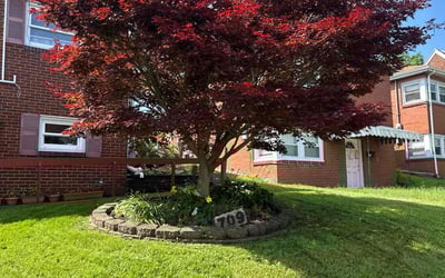 Photo of Renee H.'s yard after getting lawn care in Clairton, PA