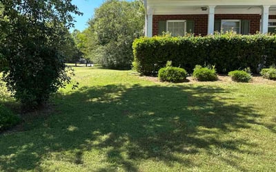 Photo of Vanessa K.'s yard after getting lawn care in Covington, GA