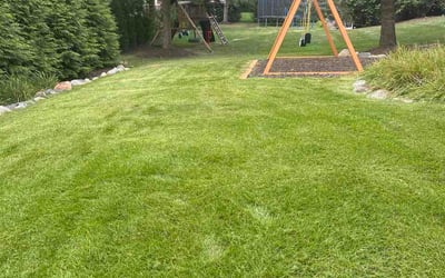Photo of Michael B.'s yard after getting lawn care in Watertown, MA