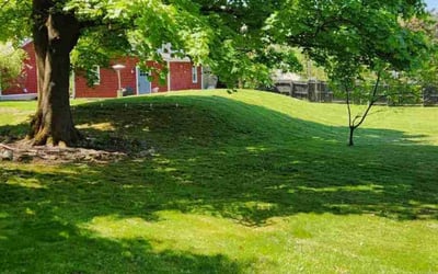 Photo of Jamie D.'s yard after getting lawn care in Macungie, PA