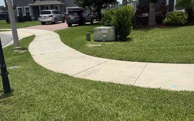 Photo of Vanessa M.'s yard after getting lawn care in Southgate, MI