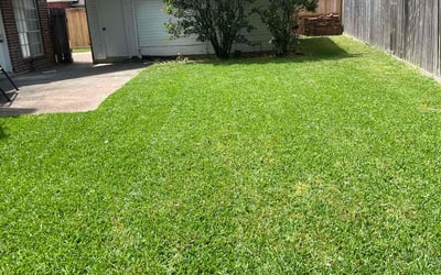 Photo of Kathie R.'s yard after getting lawn care in Sugar Land, TX