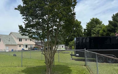 Photo of Jacqueline F.'s yard after getting lawn care in Fayetteville, NC