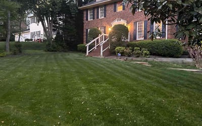 Photo of Kelly P.'s yard after getting lawn care in Asheboro, NC