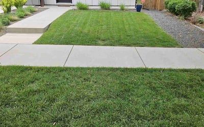 Photo of Cheryl H.'s yard after getting lawn care in North Richland Hills, TX
