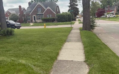 Photo of Audra A.'s yard after getting lawn care in Waukegan, IL