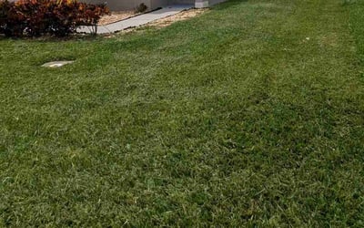 Photo of Kyle G.'s yard after getting lawn care in Meriden, CT