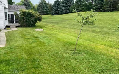 Photo of ruben r.'s yard after getting lawn care in South Milwaukee, WI