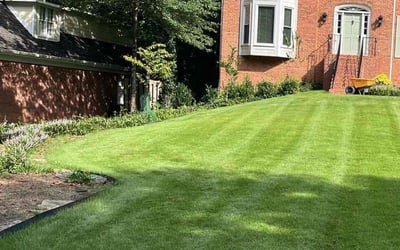 Photo of Kelly D.'s yard after getting lawn care in Roswell, GA