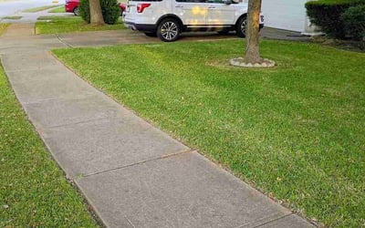 Photo of Frank C.'s yard after getting lawn care in Wilmington, NC