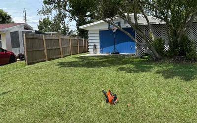 Photo of Tami O.'s yard after getting lawn care in Thermal, CA