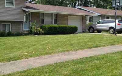 Photo of Jamie P.'s yard after getting lawn care in Crest Hill, IL