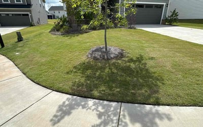 Photo of Herbert G.'s yard after getting lawn care in Stanley, NC