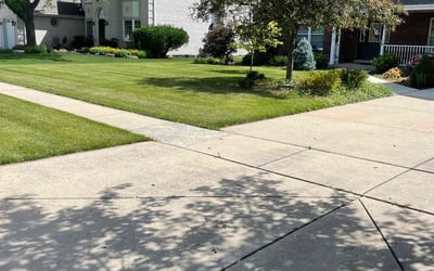 Photo of Leeann W.'s yard after getting lawn care in Summerville, SC