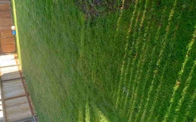 Photo of Michelle H.'s yard after getting lawn care in Covington, WA