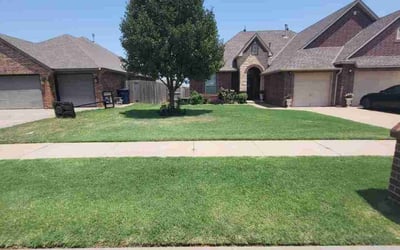 Photo of Liz F.'s yard after getting lawn care in Cleburne, TX