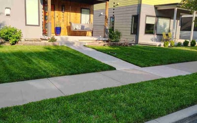 Photo of Shannon G.'s yard after getting lawn care in Raymore, MO