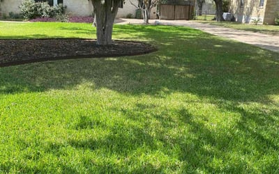 Photo of Abena P.'s yard after getting lawn care in Pflugerville, TX