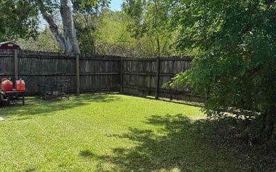 Photo of Dawn R.'s yard after getting lawn care in Abbeville, LA