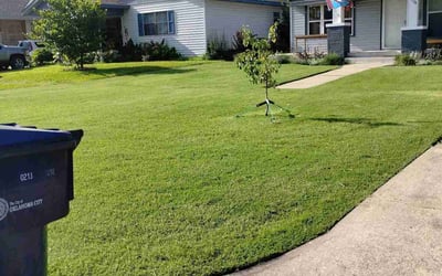 Photo of Keita A..'s yard after getting lawn care in Dickinson, TX