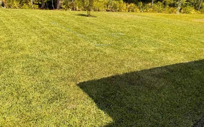 Photo of Bonnie L.'s yard after getting lawn care in Grove City, OH