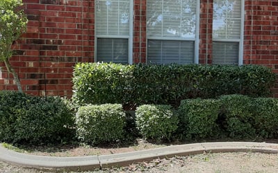 Photo of Jen F.'s yard after getting lawn care in Gibsonia, PA
