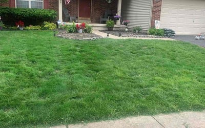 Photo of Linda G.'s yard after getting lawn care in Loveland, OH