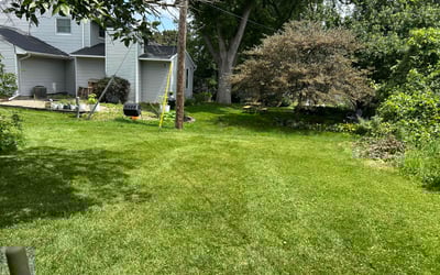 Photo of Christy W.'s yard after getting lawn care in Pinckney, MI
