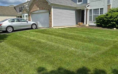 Photo of James M.'s yard after getting lawn care in Pensacola, FL