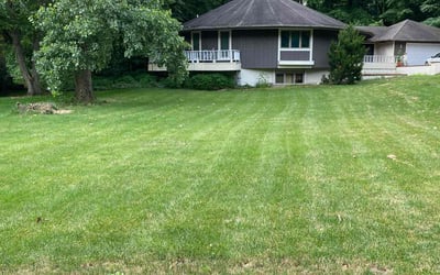 Photo of Stephen T.'s yard after getting lawn care in Kalamazoo, MI